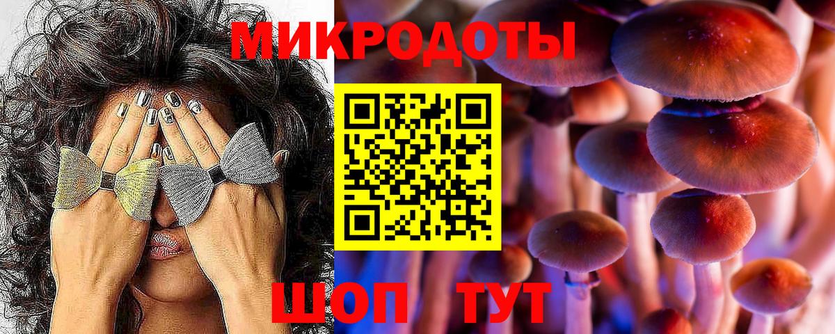 Галлюциногенные грибы ЛСД  Псилоцибиновые грибы ЛСД  Сунжа  Вход с VPN 